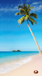 Tropical beach
