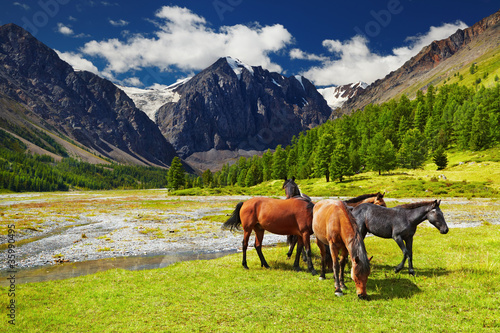 Photo: Mountain landscape Mountain landscape