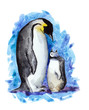 penguin mather and her child