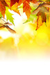 Art abstract autumn background