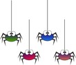 spiders spiders