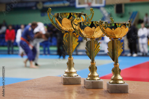 Photo: Judo Judo