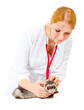 Young veterinarian examines a patient ferret Young veterinarian examines a patient ferret