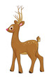 roebuck