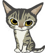 doubting kitten