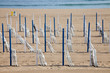 Foto: Sillas en la playa de Zurriola, San Sebastián Sillas en la playa de Zurriola, San Sebastián