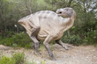 dinosaure dans la nature