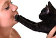 Photo: femme et chat femme et chat