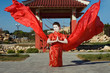 Geisha With Wings Geisha With Wings