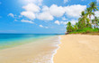 tropical beach with coconut palm tropical beach with coconut palm