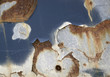 abstract corrosion detail