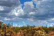 Desert storm Desert storm