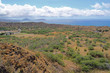 Diamondhead crater with Koko Head in the distance