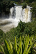 Chute de la Lily Chute de la Lily