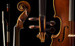 Violine