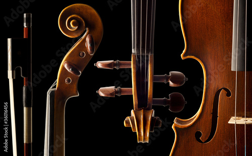 Photo: Violine Violine