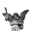 Winged angel statue isolated on white background. Winged angel statue isolated on white background.