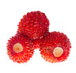 Wild strawberries Wild strawberries