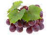grape on isolated grape on isolated
