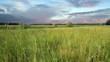 timelapse dark clouds above field. shot motorized slider. timelapse dark clouds above field. shot motorized slider.