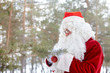 Preparing forest for Christmas