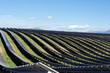 Alpes de Hautes Provence - Ferme solaire des Mées