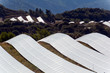Alpes de hautes provence, Puimichel, ferme solaire des Mées