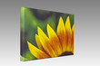Leinwand auf Keilrahmen Sonnenblume