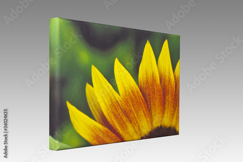 Foto: Leinwand auf Keilrahmen Sonnenblume Leinwand auf Keilrahmen Sonnenblume