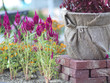 Garden Planters