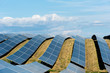 Alpes de hautes provence, Puimichel, ferme solaire des Mées