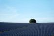 Alpes de hautes provence, Puimichel, ferme solaire des Mées