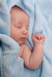 bébé