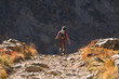 trekking