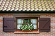 Window of a typical flemish house