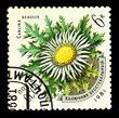 USSR - CIRCA 1981