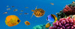 Underwater panorama with turtle, coral reef and fishes Underwater panorama with turtle, coral reef and fishes