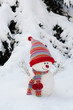 Photo: Schneemann Schneemann