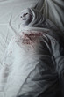 Mummy