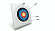 Arrows putting into a target on a white background Arrows putting into a target on a white background