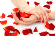 beautiful red manicure and  flower on white  background