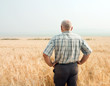 senior farmer. Rear view