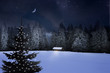 Weihnachtswald
