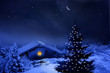 Weihnachtswald