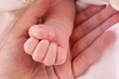Little Hand