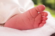baby foot
