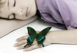 Photo: dream dream