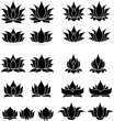 Lotus Set 1