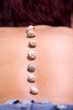 Muscheln