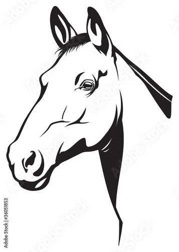 Illustration: Horse Horse